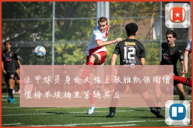 法甲球员身价大幅上涨雅凯领衔增值榜单埃梅里紧随其后