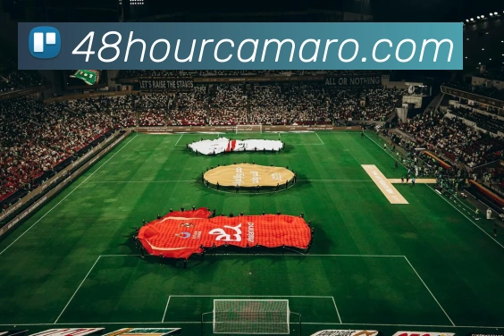 开云手机在线登陆入口品牌故事